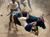 Makar Sankranti