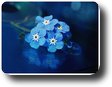 Anna_En_Xaris Anna_En_Xaris